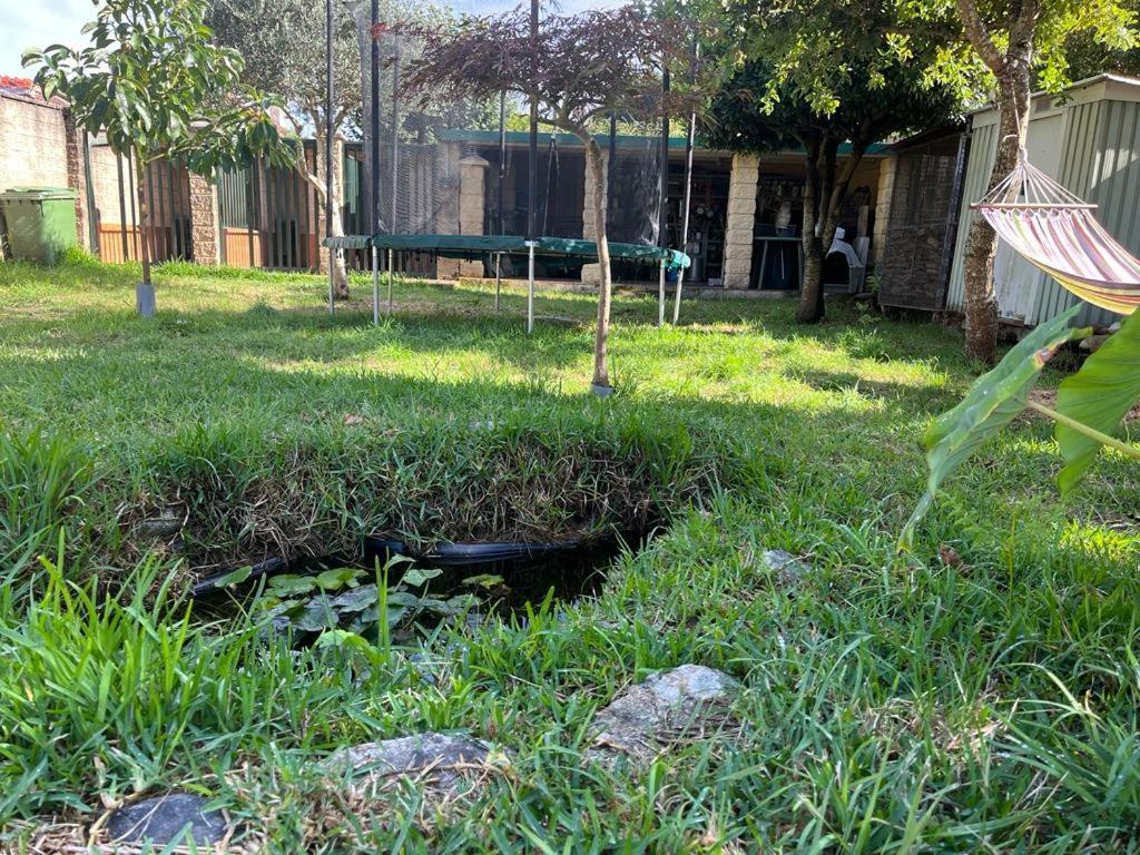 La Casa De Las Ranas ポイオ エクステリア 写真